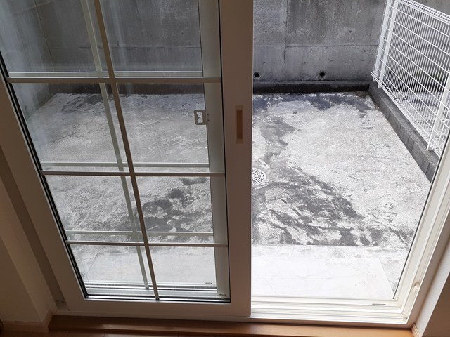 11/20 その他画像