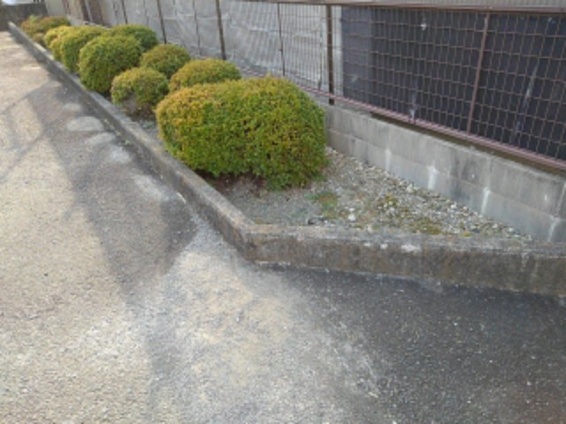 13/25 その他画像