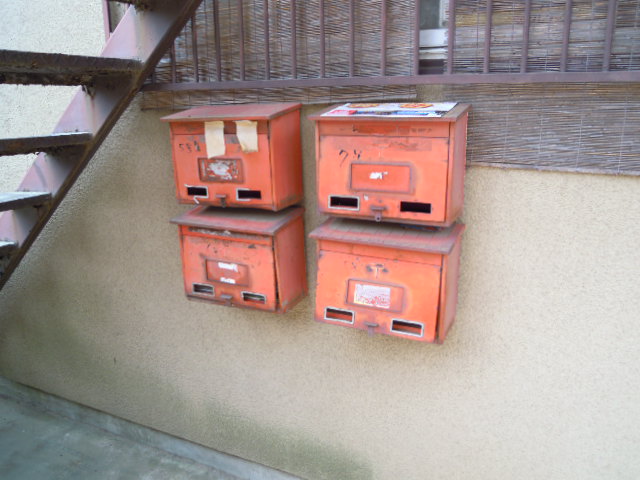 8/20 その他画像