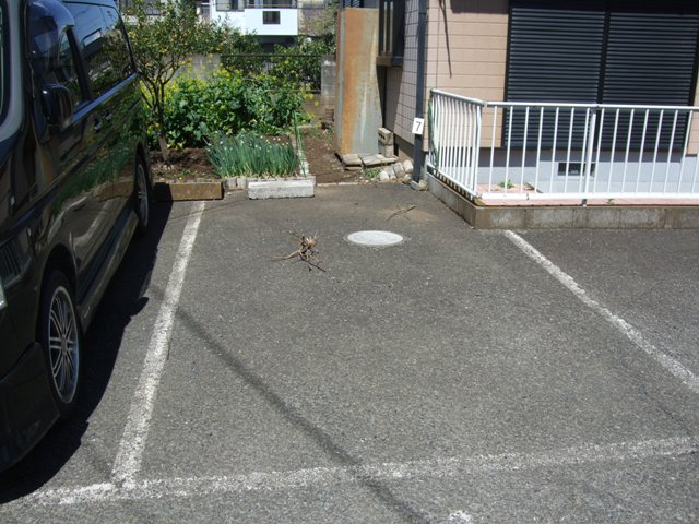 16/26 その他画像