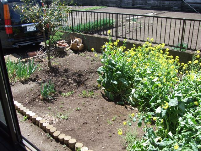 17/26 その他画像