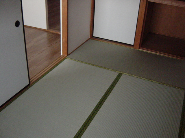 21/26 その他画像