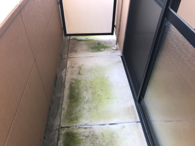 19/24 バルコニー