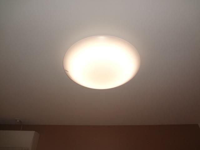 19/26 その他画像