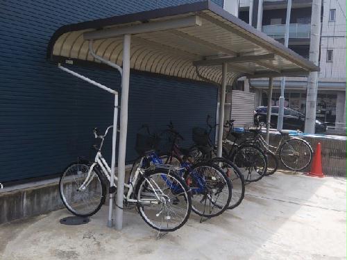 11/14 その他画像