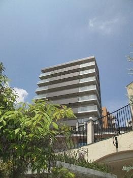 3/13 その他画像