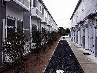 11/22 その他画像