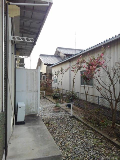 13/24 その他画像