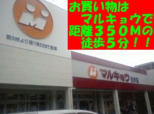 11/23 その他画像