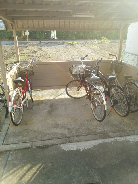 17/29 その他画像