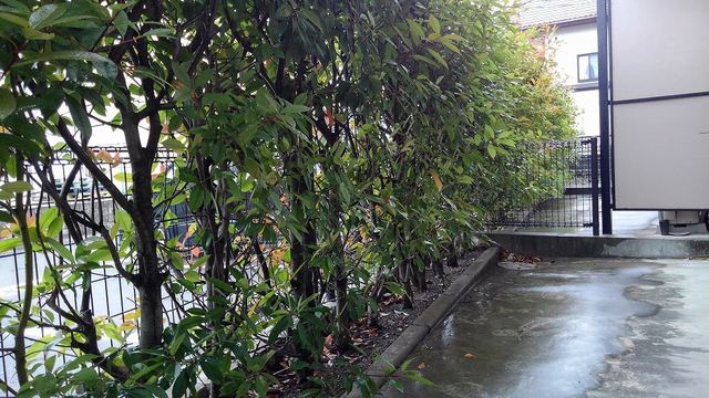 9/19 バルコニー