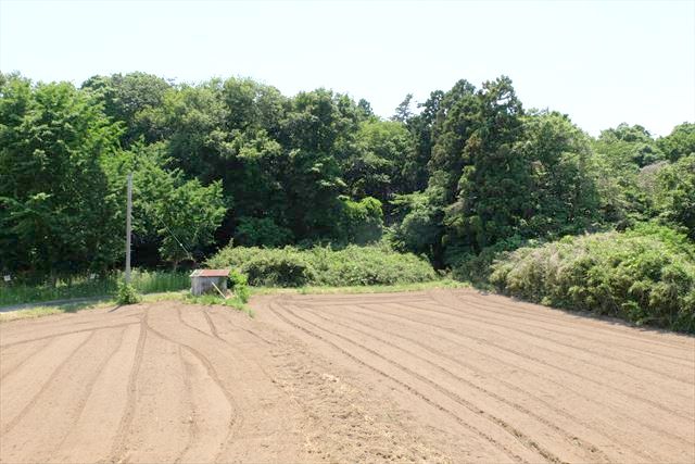 17/29 その他画像