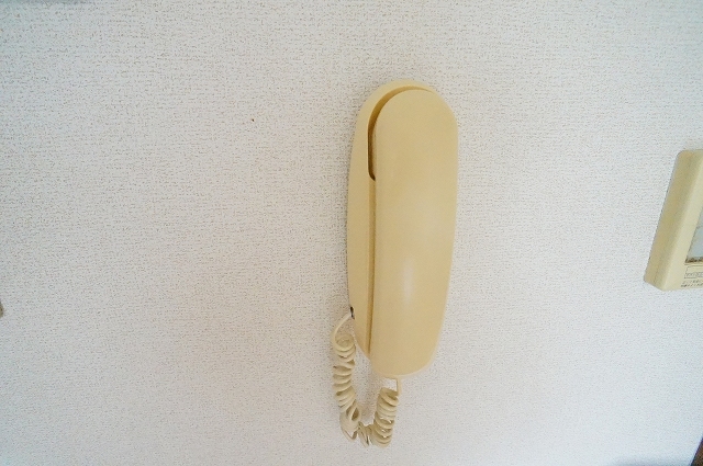 11/22 その他画像