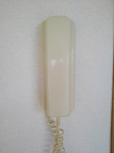 15/25 その他画像