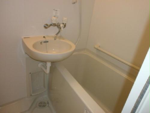 11/21 その他画像