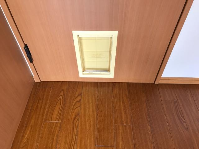4/30 室内