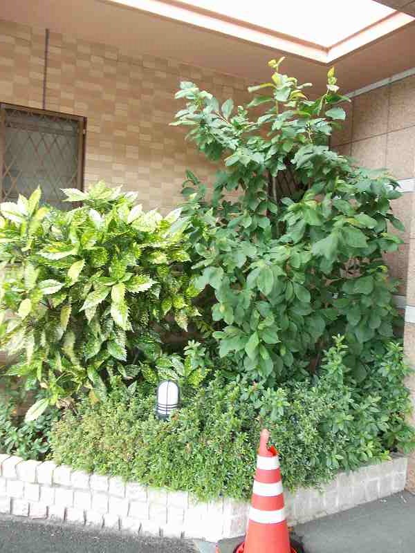 7/20 その他画像