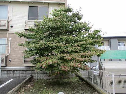 12/20 その他画像