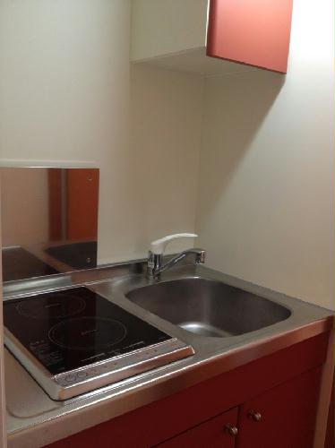 3/19 その他画像