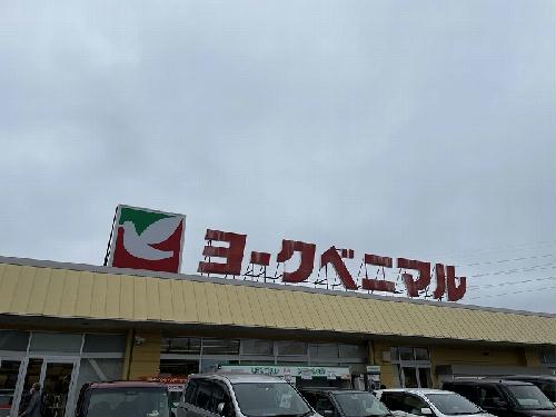 12/22 その他画像
