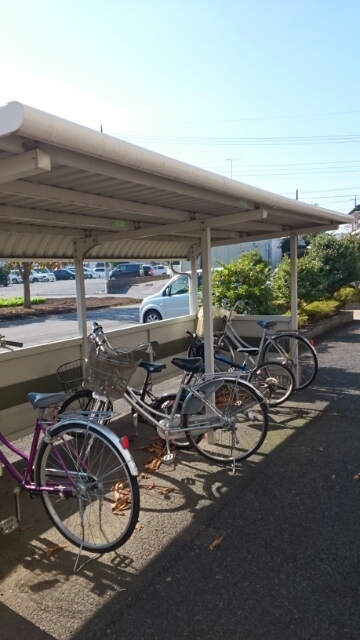 13/21 その他画像