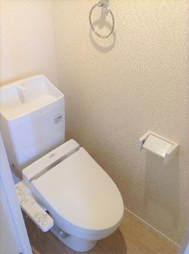 11/14 その他画像