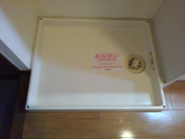 11/20 その他画像