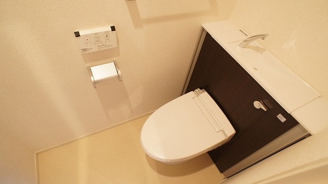 10/24 その他画像