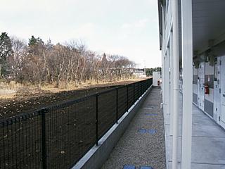 11/18 その他画像