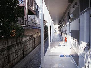 13/21 その他画像