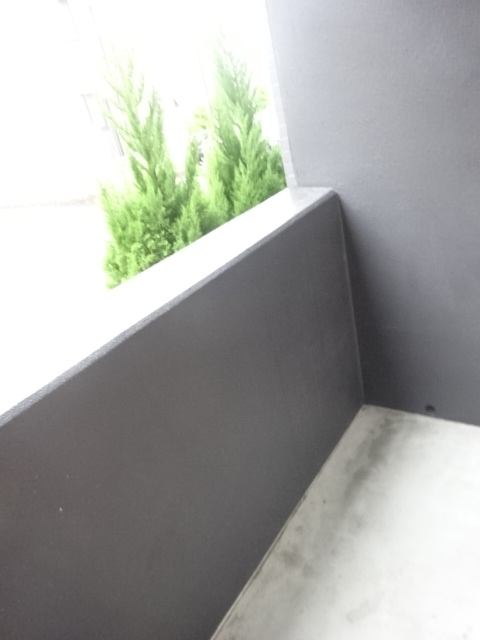 11/20 バルコニー