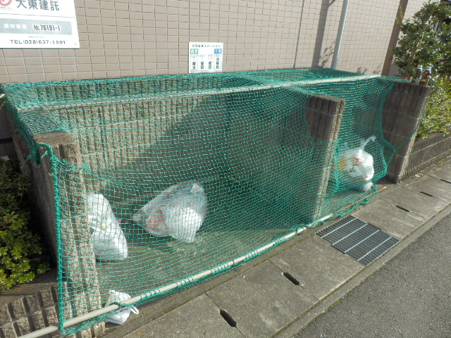 20/30 その他画像