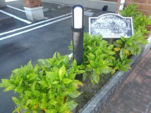 12/25 その他画像