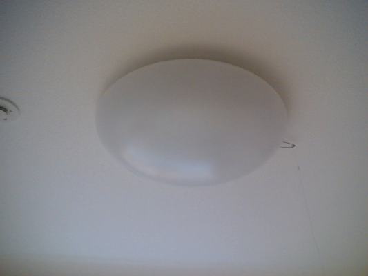 7/25 その他画像