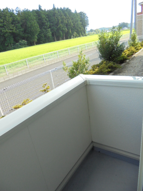 11/20 バルコニー