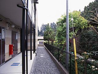 11/20 その他画像