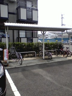 5/11 その他画像