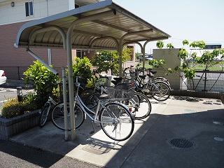 11/21 その他画像