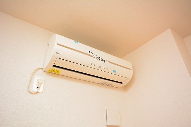 11/19 その他画像