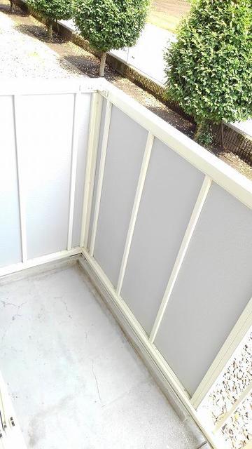 11/19 その他画像