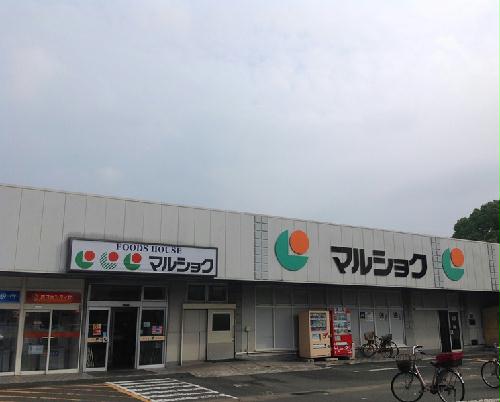 11/22 その他画像