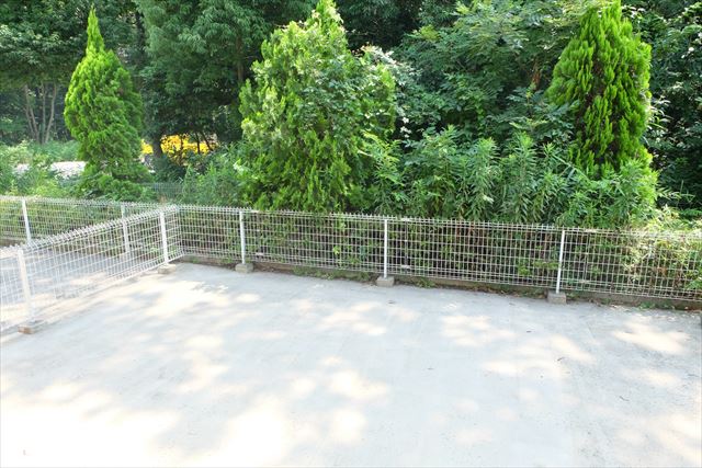 13/30 その他画像