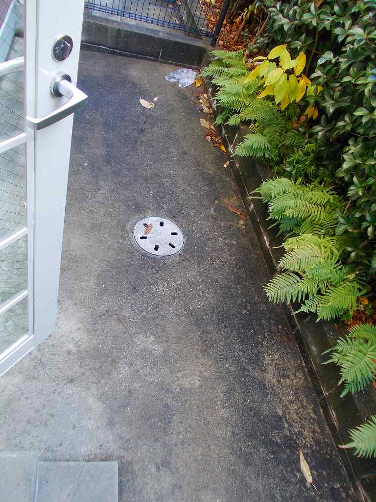 15/25 その他画像