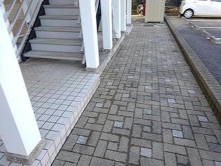 12/14 その他画像