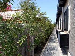 9/20 バルコニー