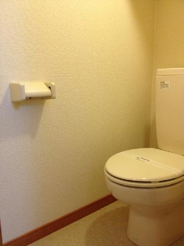 4/19 その他画像