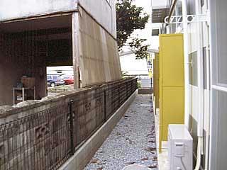 11/20 その他画像