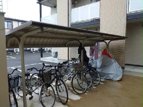 11/14 その他画像