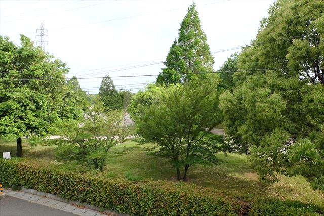 19/28 その他画像