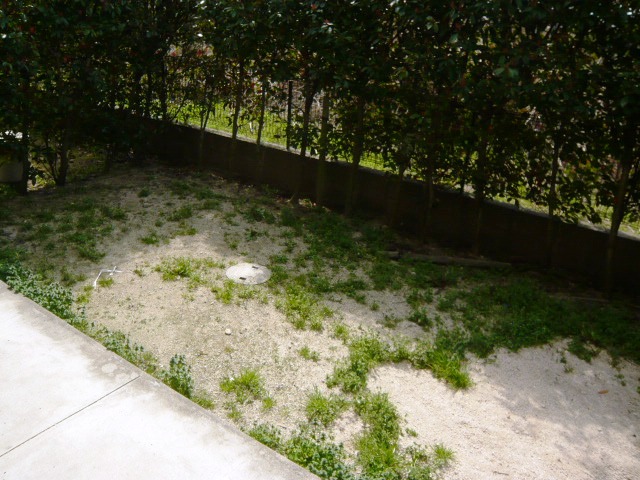 17/22 その他画像